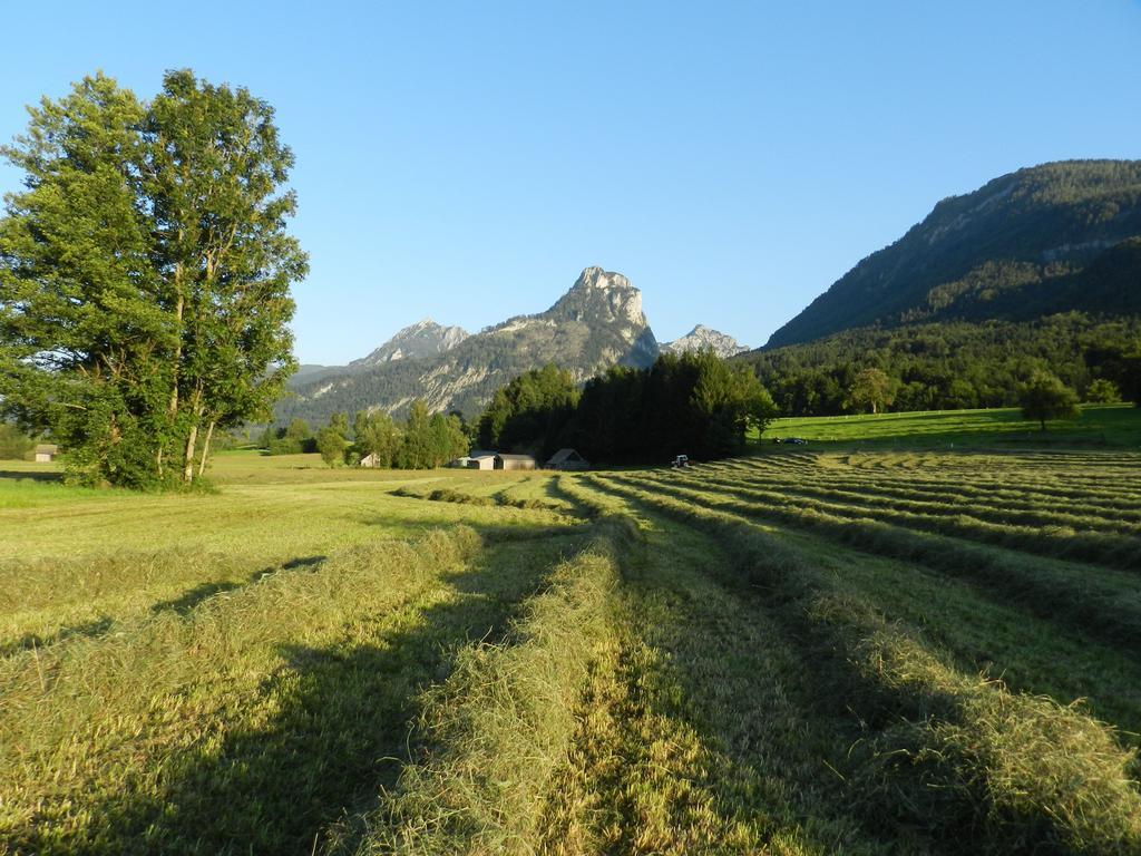 Gasthof Wiesenhof Штробль Экстерьер фото